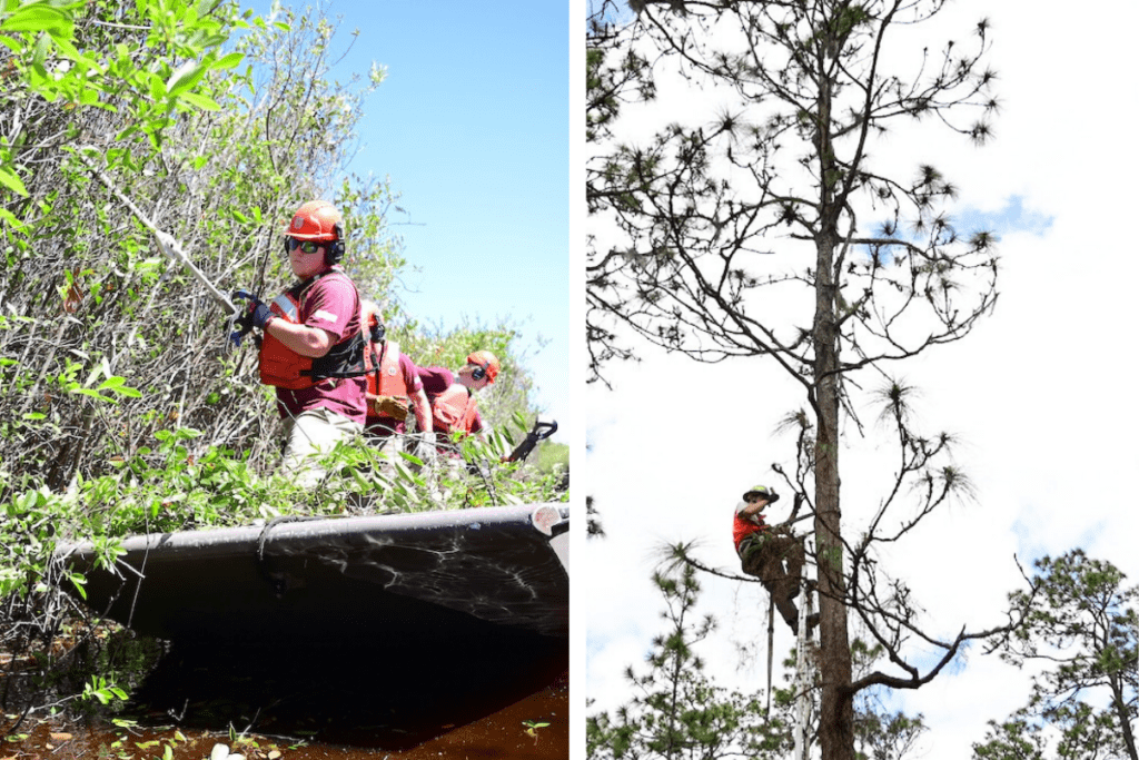 ACE interns in the field photos