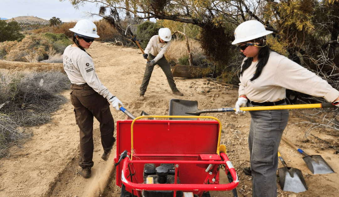 Trail Restoration in Action at Joshua Tree