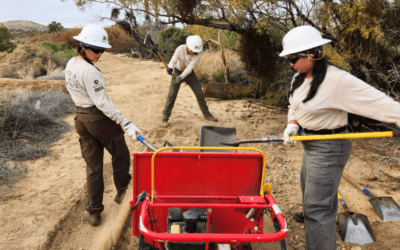 Trail Restoration in Action at Joshua Tree