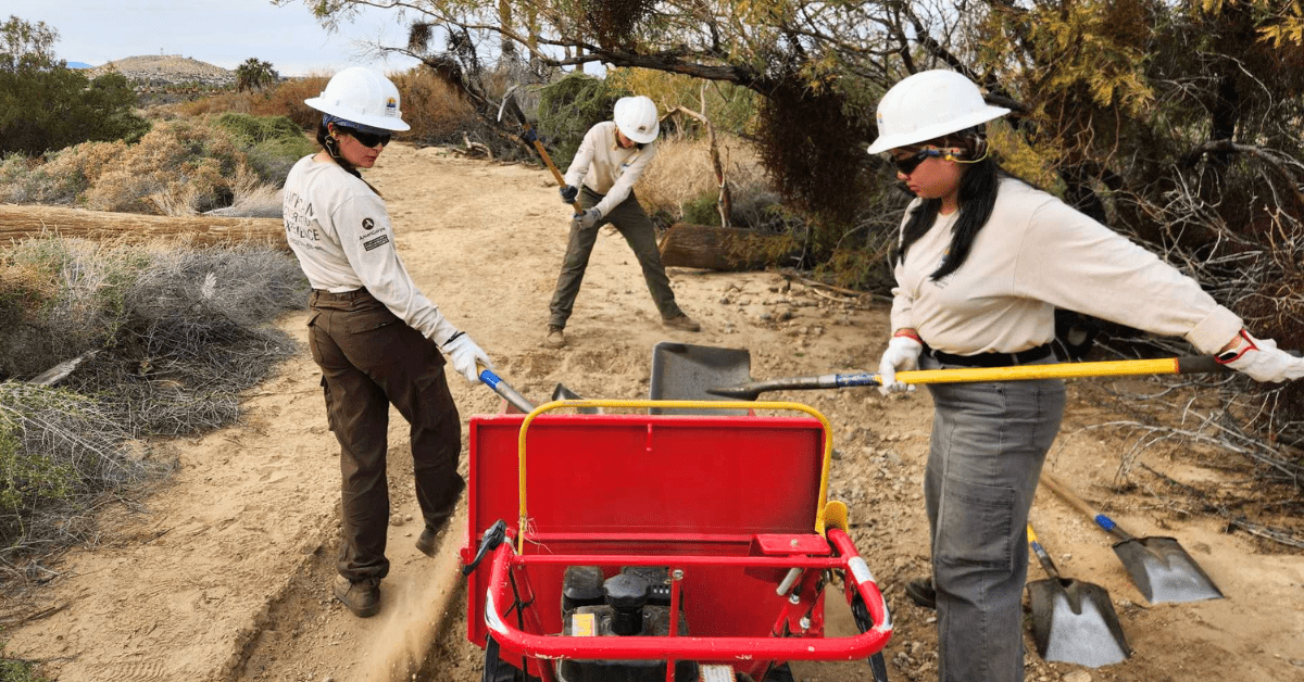 ACE crew working at Joshua Tree