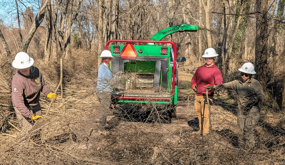 ACE crew in field working