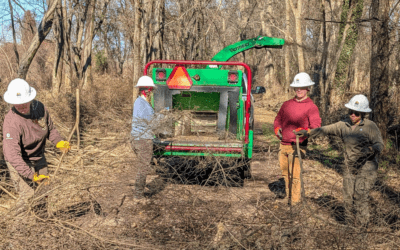 Restoring the Roots of History: Preserving Ocmulgee Mounds