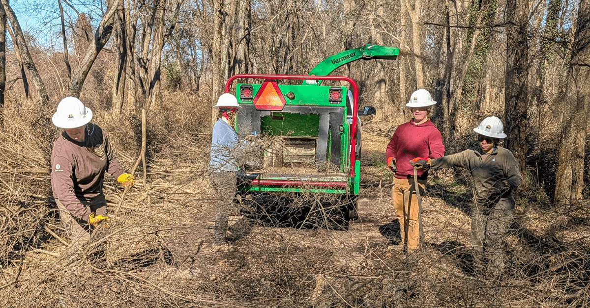 ACE crew in field working