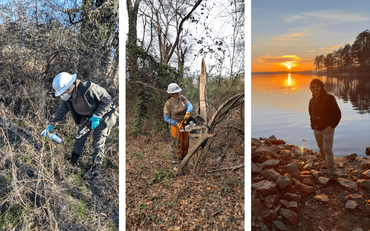 Collage of three images of ACE working at Ocmulgee Mounds