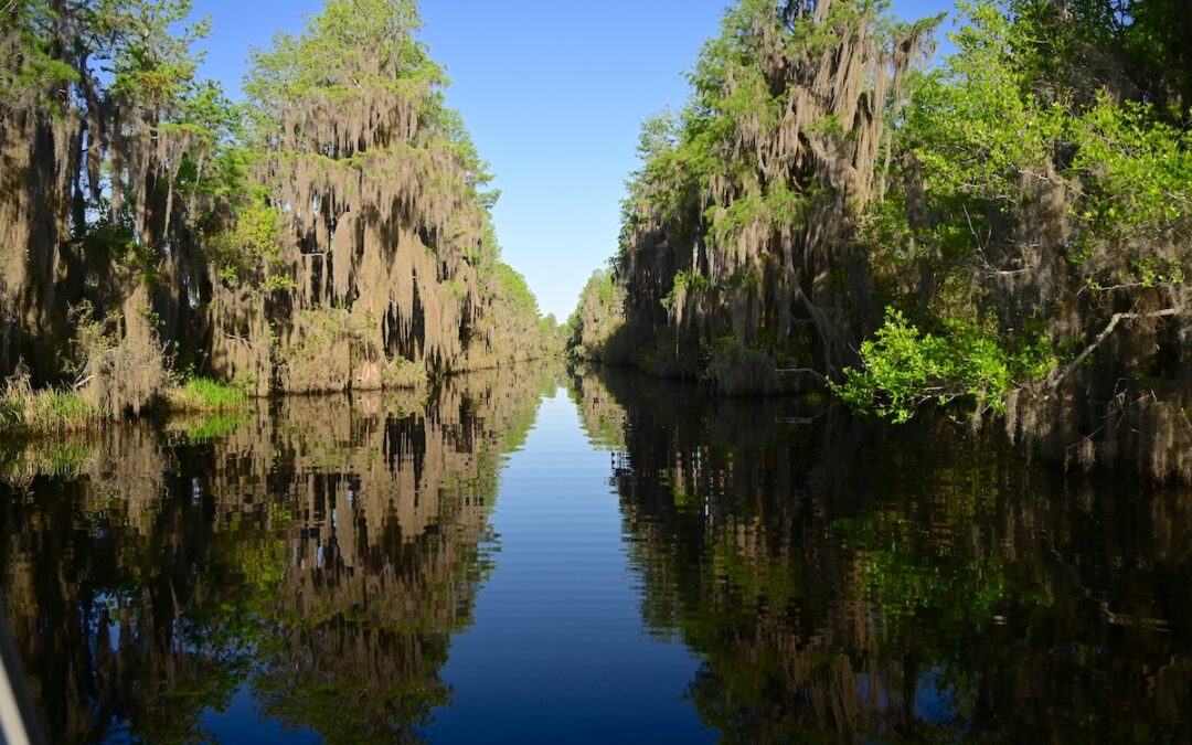 Preserving Iconic Water Trails