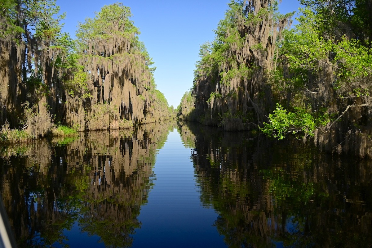 Photo of Okefenokee NWR