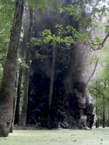 Dynamiting a beaver dam