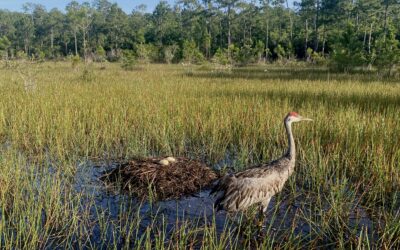 A Reflection by ACE EPIC USFWS Member Kadrian Rugullies