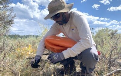 ACE’s Vital Role in the Seeds of Success Initiative