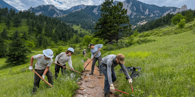 Scaling Conservation ACE Crew working on trail