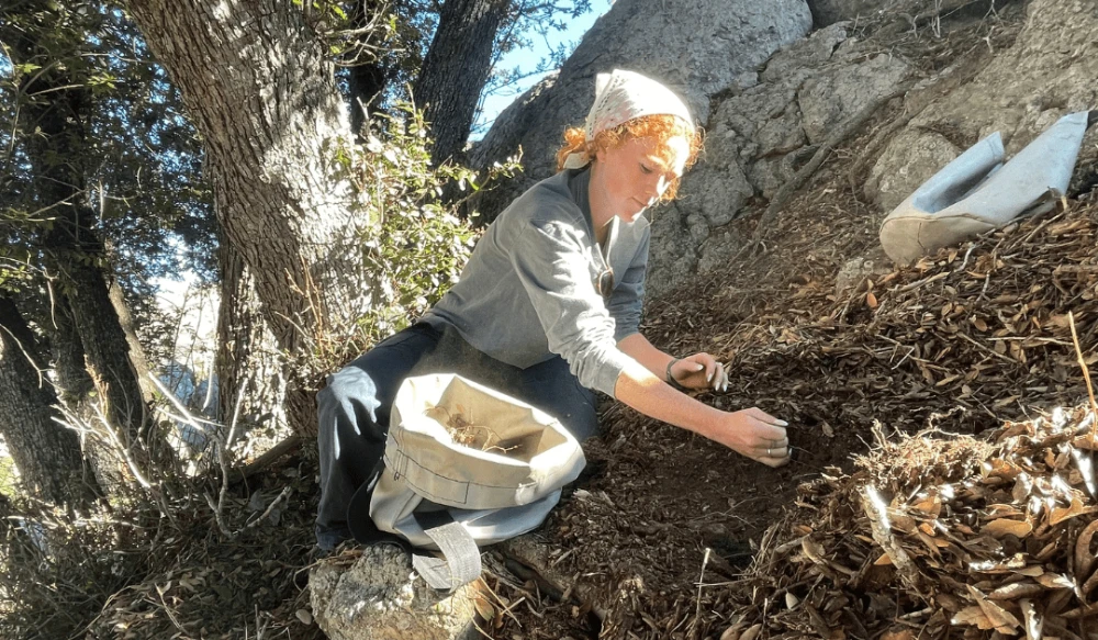 girl working on fixing plants