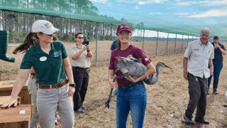 EPIC member with bird
