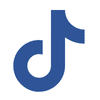 TikTok icon