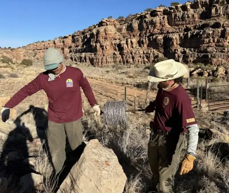 Protecting National Parks – Keeping Livestock Where it Belongs