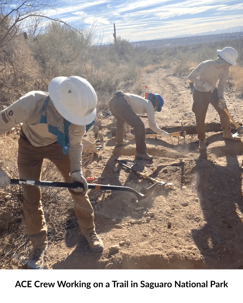 ACE crew serving at Saguaro National Park