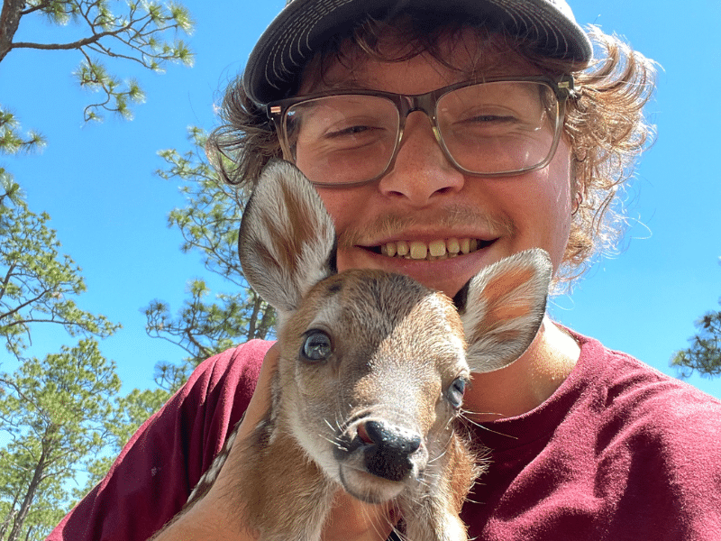 ACE member holding fawn to save from wildfire
