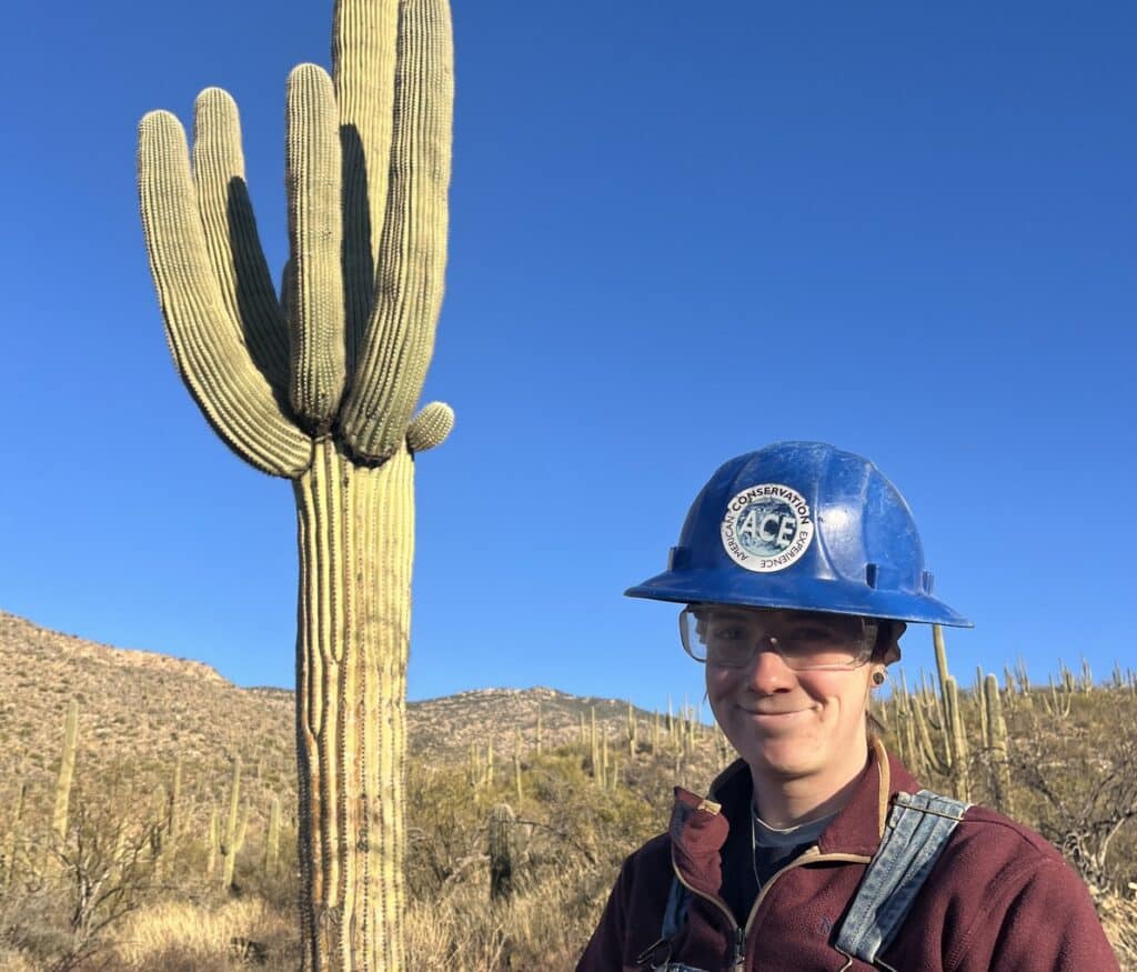 ACE crew member at Saguaro National Park