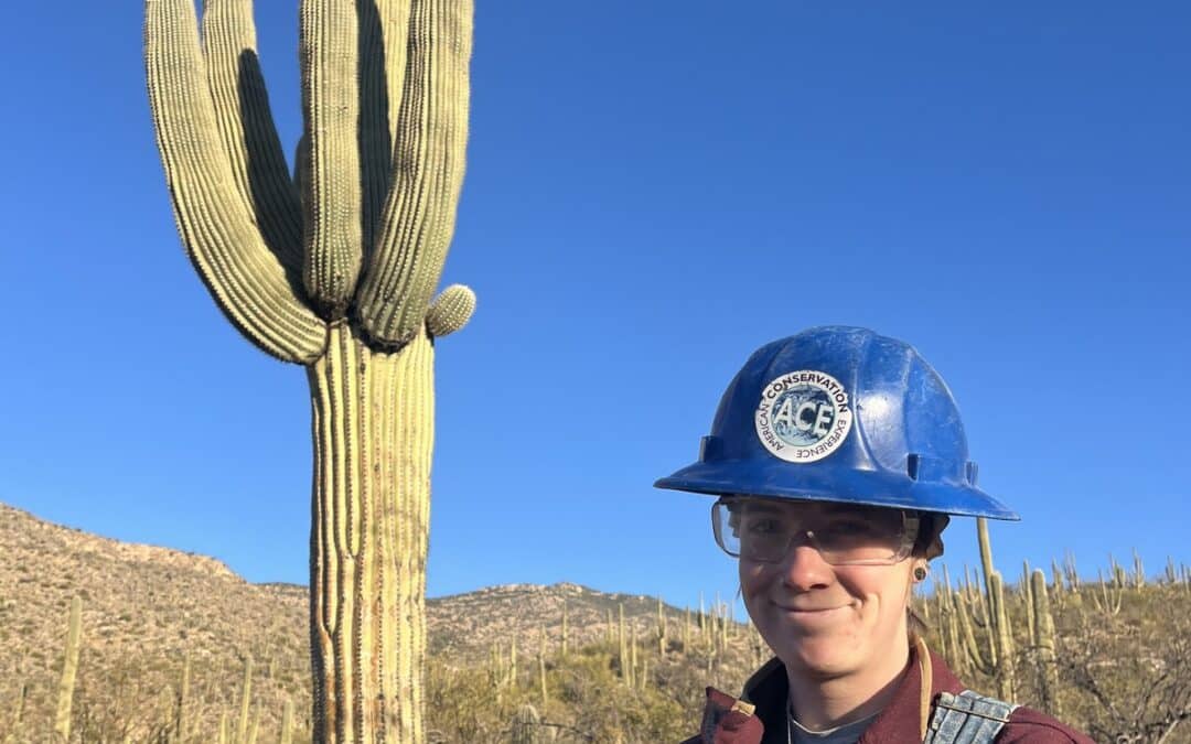 ACE crew member at Saguaro National Park
