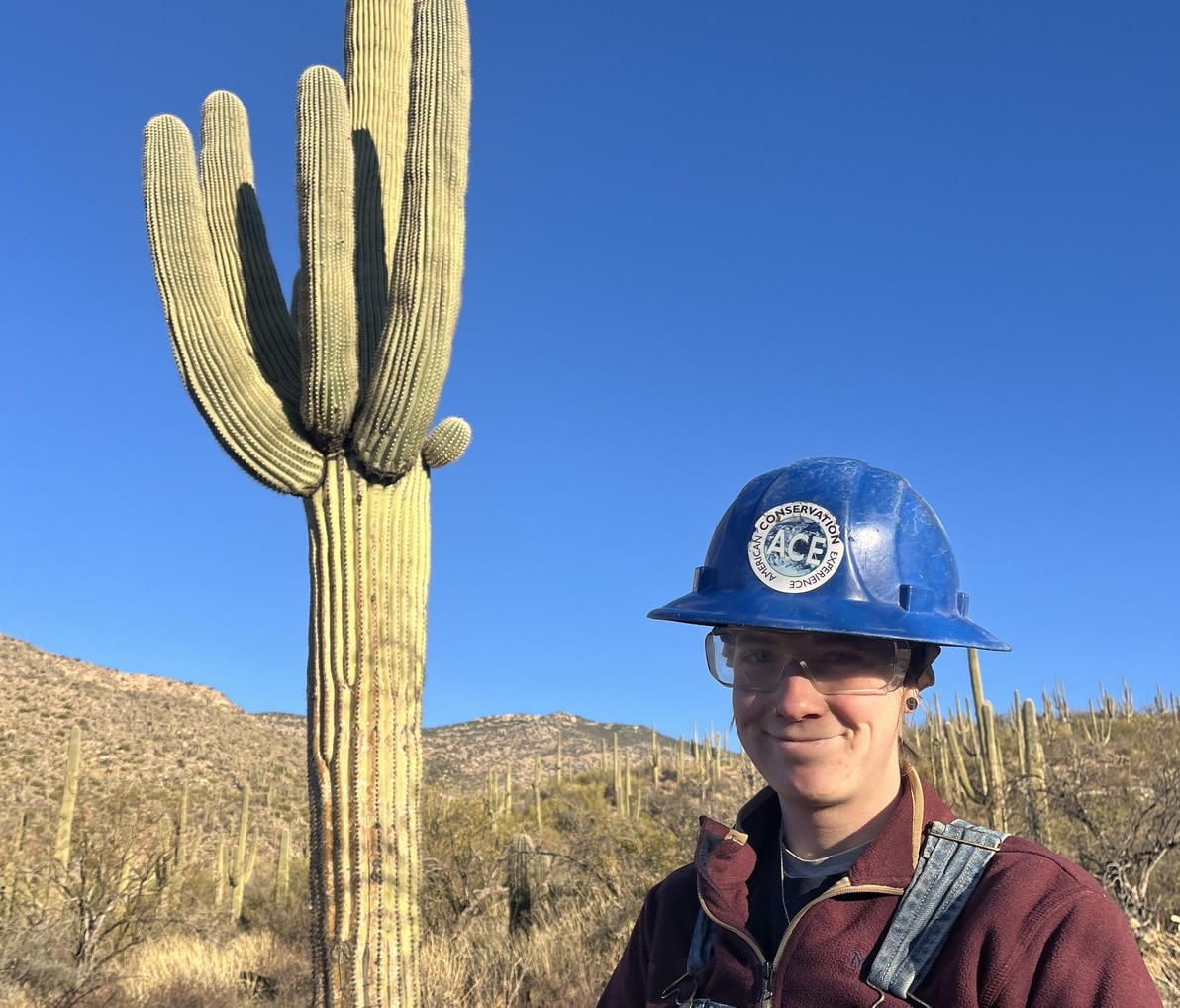 ACE crew member at Saguaro National Park