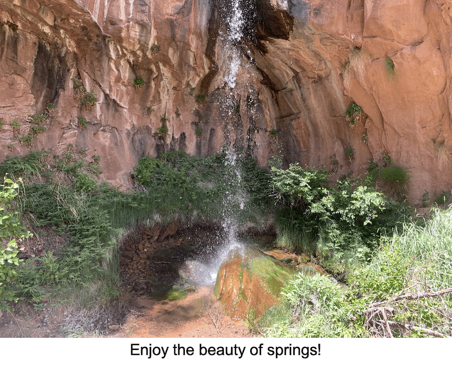 Hanging springs photo