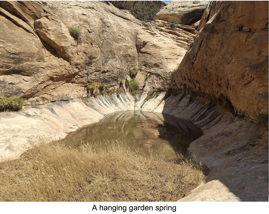 photo of hanging garden