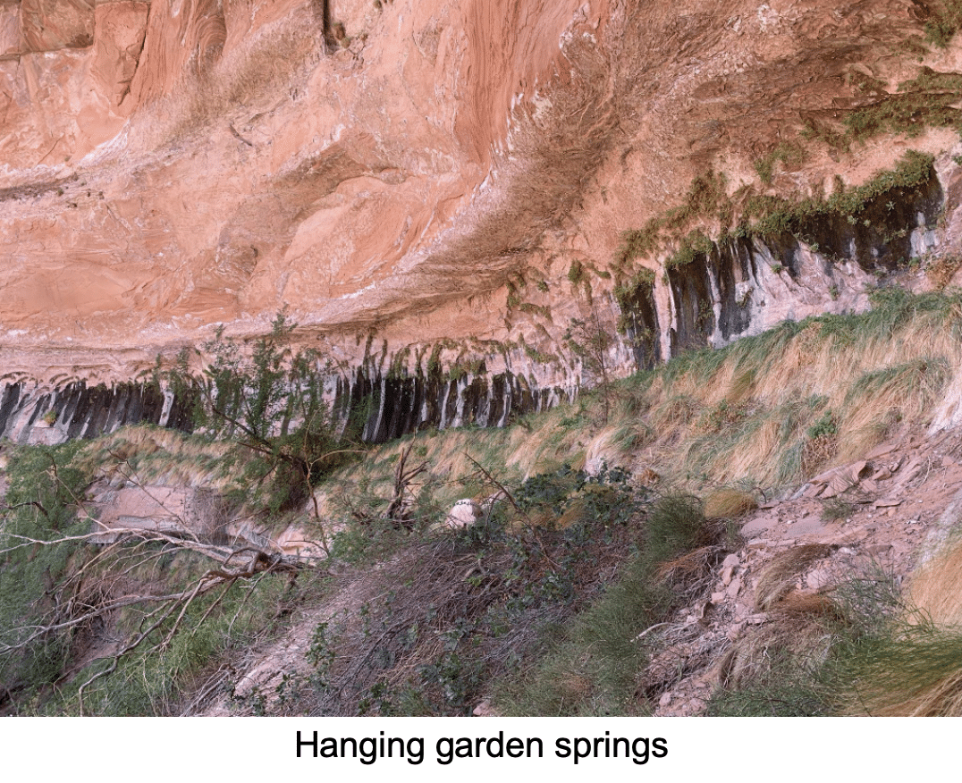hanging garden springs photo