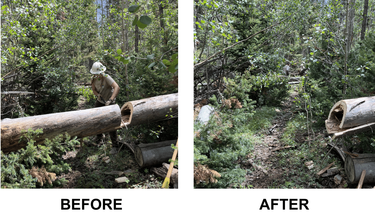 Before and After Trail Photos