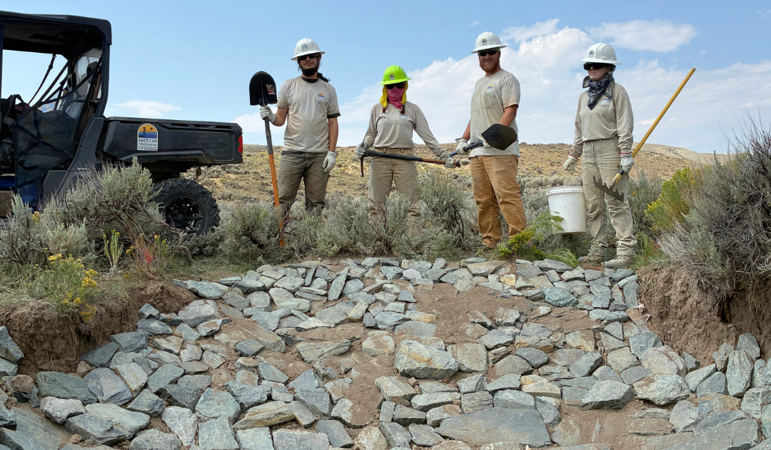 Small Structures, Big Impact: Low Tech Restoration Techniques